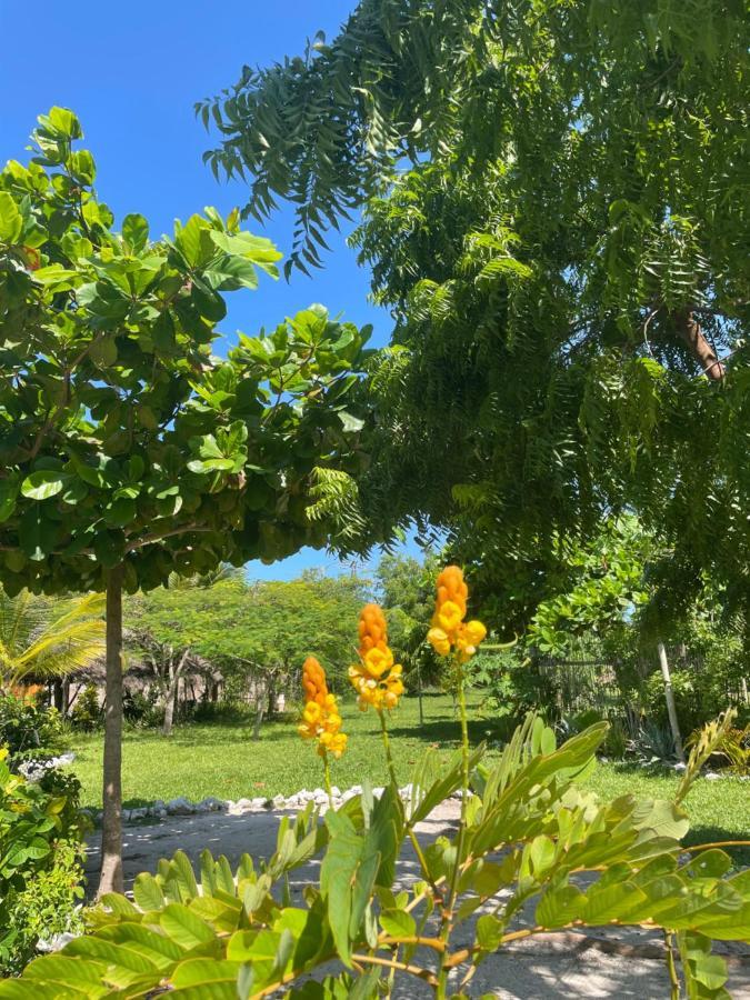 Michamvi Botanica Eco Lodge מראה חיצוני תמונה