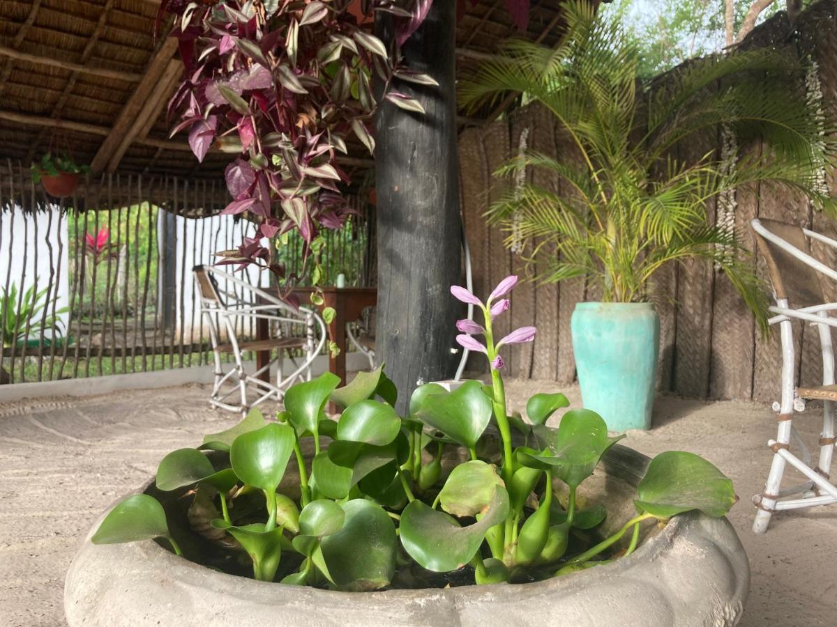 Michamvi Botanica Eco Lodge מראה חיצוני תמונה