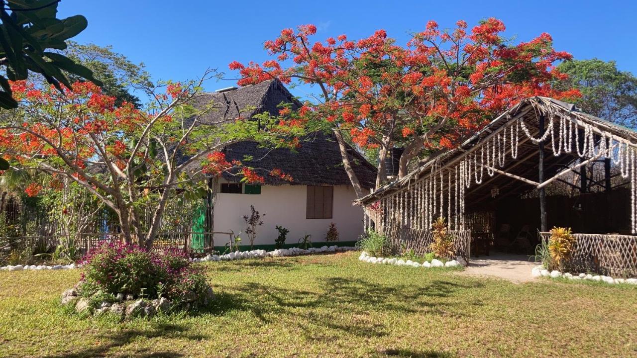 Michamvi Botanica Eco Lodge מראה חיצוני תמונה