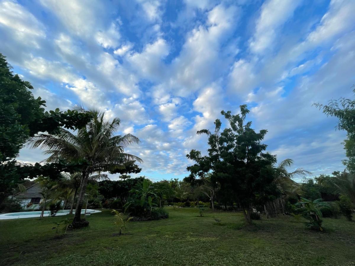 Michamvi Botanica Eco Lodge מראה חיצוני תמונה