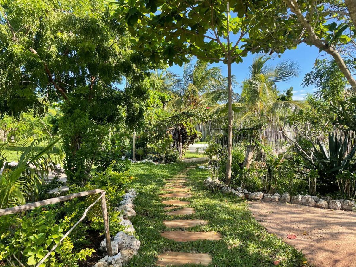 Michamvi Botanica Eco Lodge מראה חיצוני תמונה