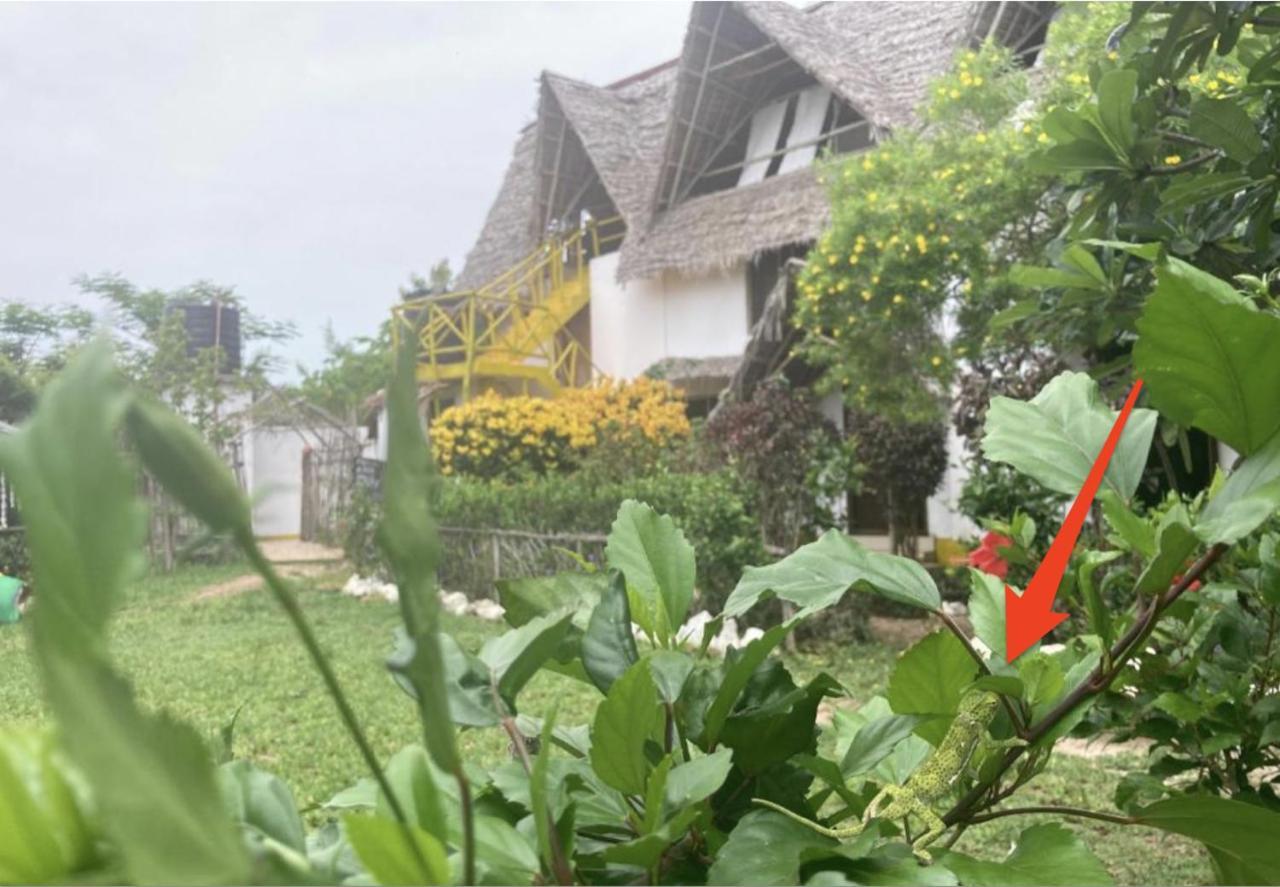 Michamvi Botanica Eco Lodge מראה חיצוני תמונה